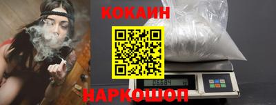 apvp Бийск