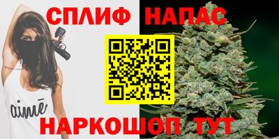 амф Берёзовский