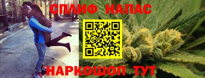apvp Бийск