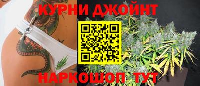 apvp Бийск