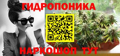 гидра Апрелевка