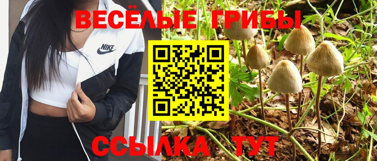 Кетамин Берёзовский