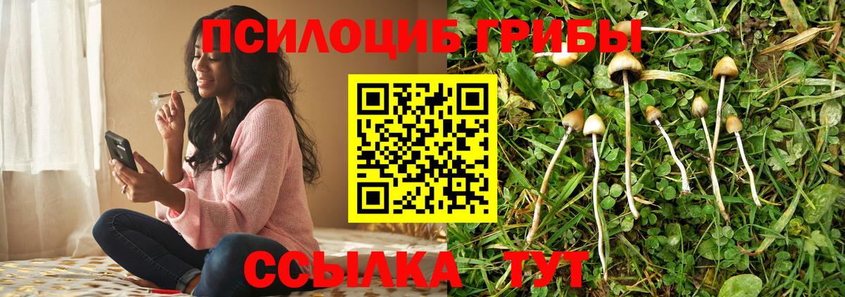 Галлюциногенные грибы мицелий Берёзовский