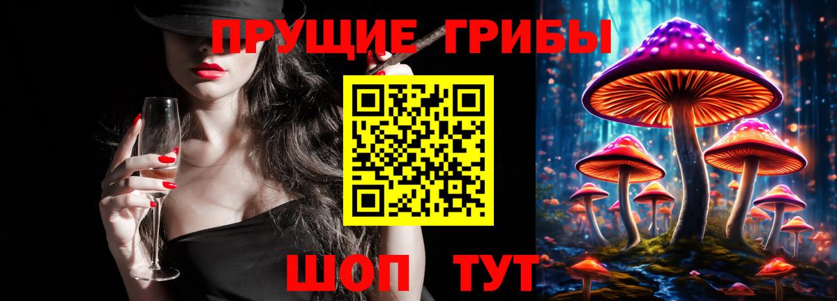 купить закладку  Берёзовский  Галлюциногенные грибы MAGIC MUSHROOMS 